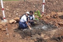 A grand tree plantation event was organized in the village of Hanota on 27th July