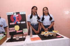 SCI_EXHIB-29